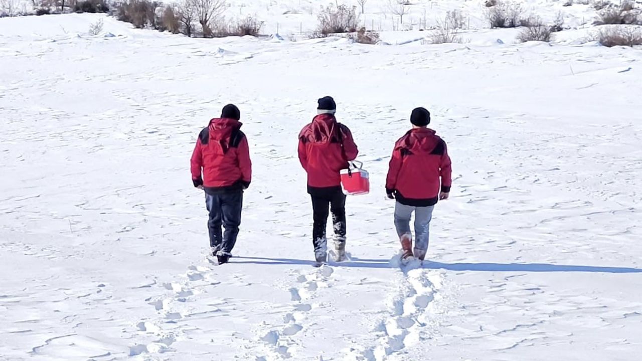 Çemişgezek'te veteriner hekimler yoğun kar altında hayvan sağlığını koruyor