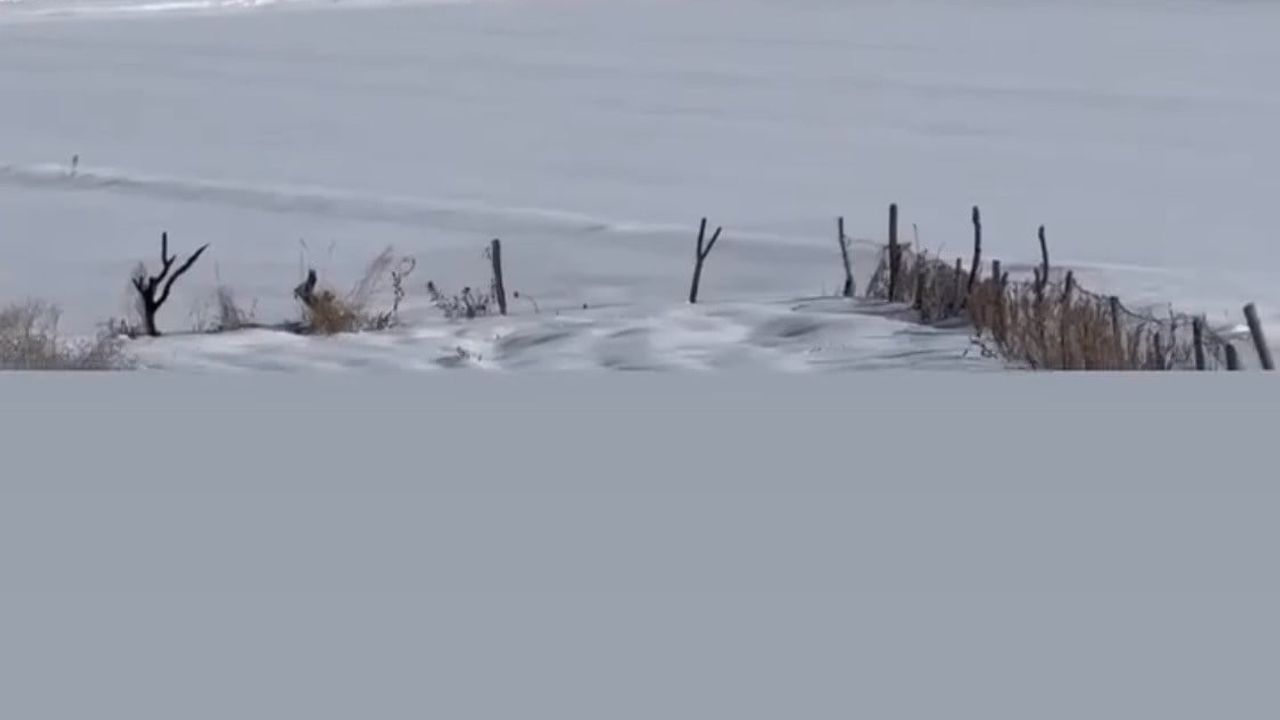 Çermik'te Kara Saplanan Ambulans Köylülerce Traktörle Kurtarıldı