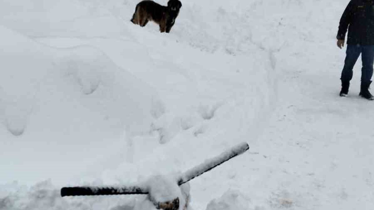 Çiğdemlik köylüleri kendi imkanlarıyla kapanan yollarını açtı