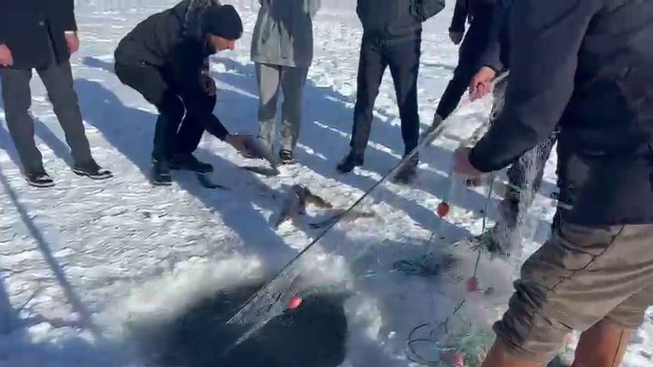 Çıldır Gölü'nde ağ çekme etkinliği: Yetkililer 14 Şubat'taki Kristal Buz Festivali'ne davet etti