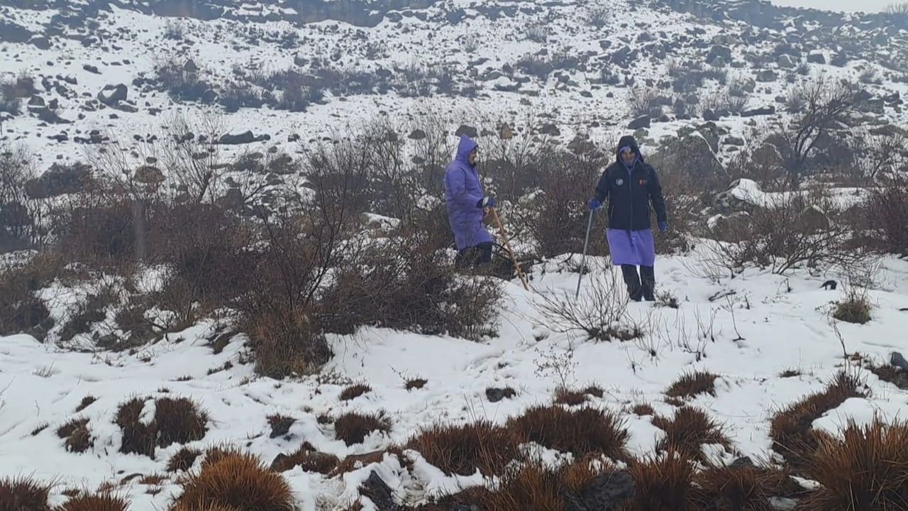 Çınar'da 8 gündür kayıp şizofreni hastası Nimet Kılıç için arama çalışmaları sürüyor