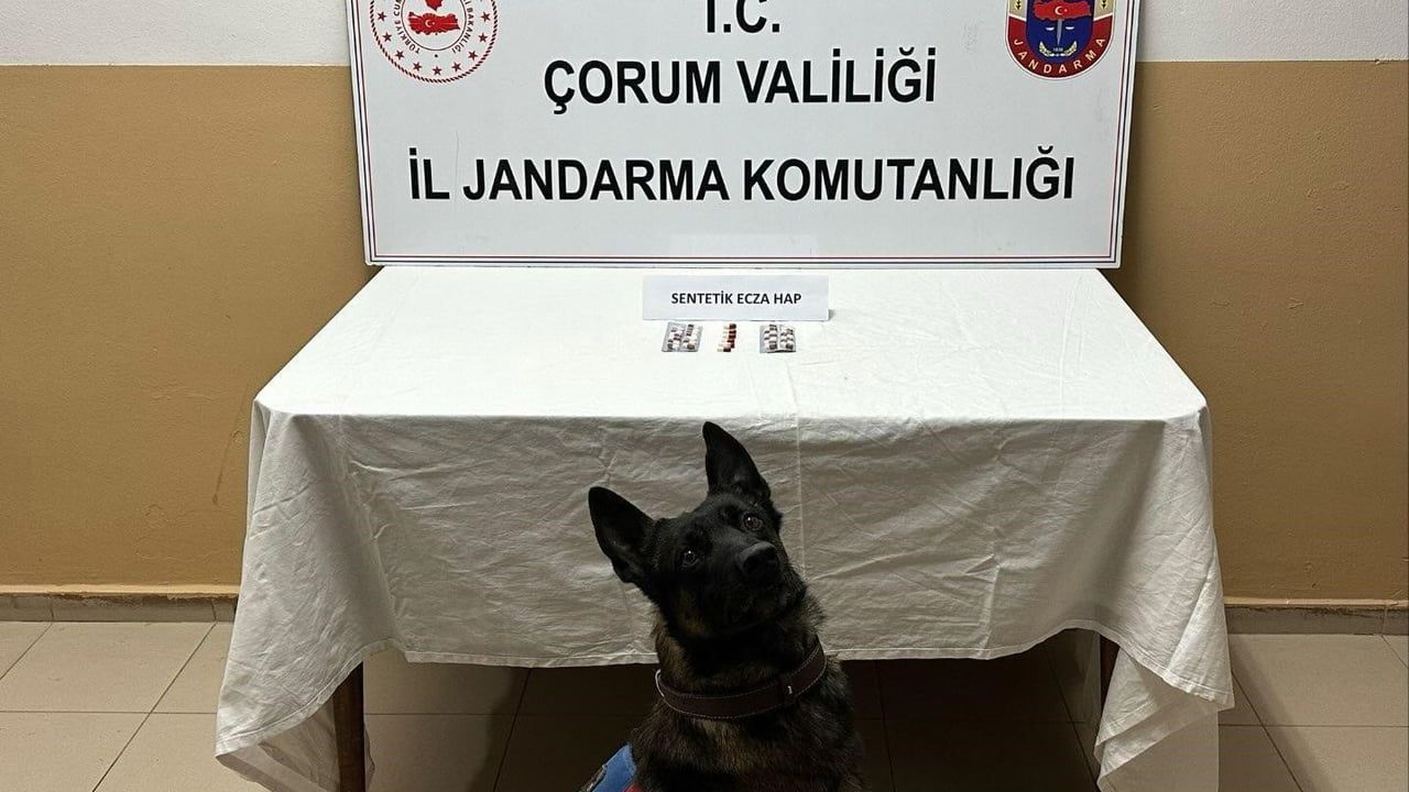 Çorum Alaca'da 32 sentetik ecza hap ele geçirildi; 3 kişi gözaltına alındı