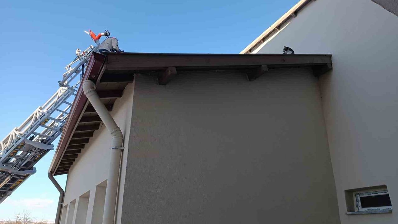 Çorum Alaca’da çatıda mahsur kalan kedi itfaiye ekipleri tarafından kurtarıldı