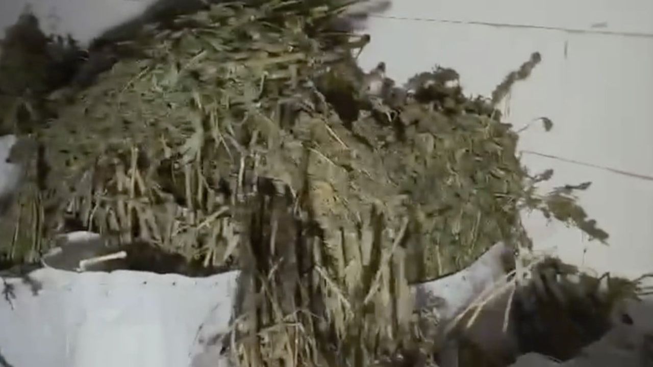 Çorum’da atıl fabrika uyuşturucu imalathanesine dönüştürüldü: 130 kilogram sentetik ele geçirildi