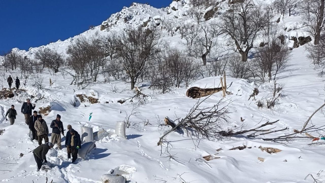 Çukurca Taşbaşı'da 1 Ocak 2026'de çığ: Ahırlara düşen çığ küçükbaş kaybına yol açtı