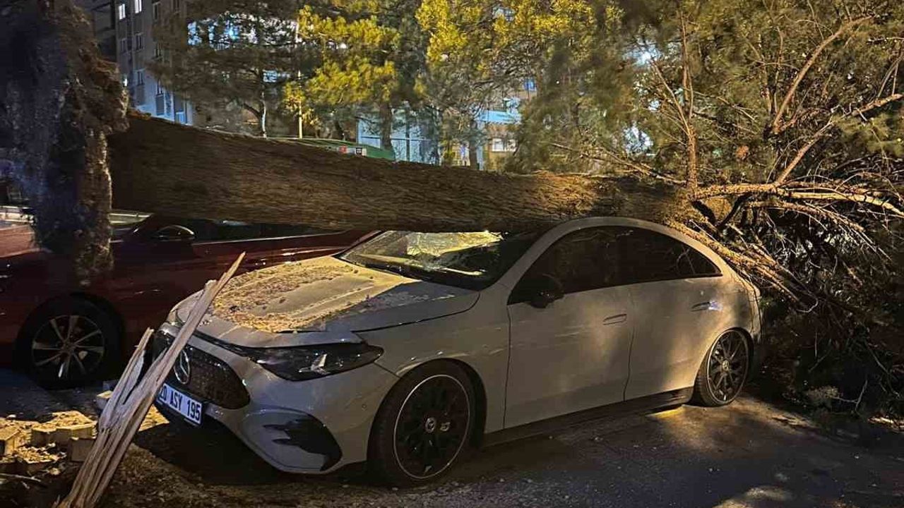 Denizli'de kuvvetli rüzgar ağaç devrilmeleri ve çatı uçmalarına yol açtı