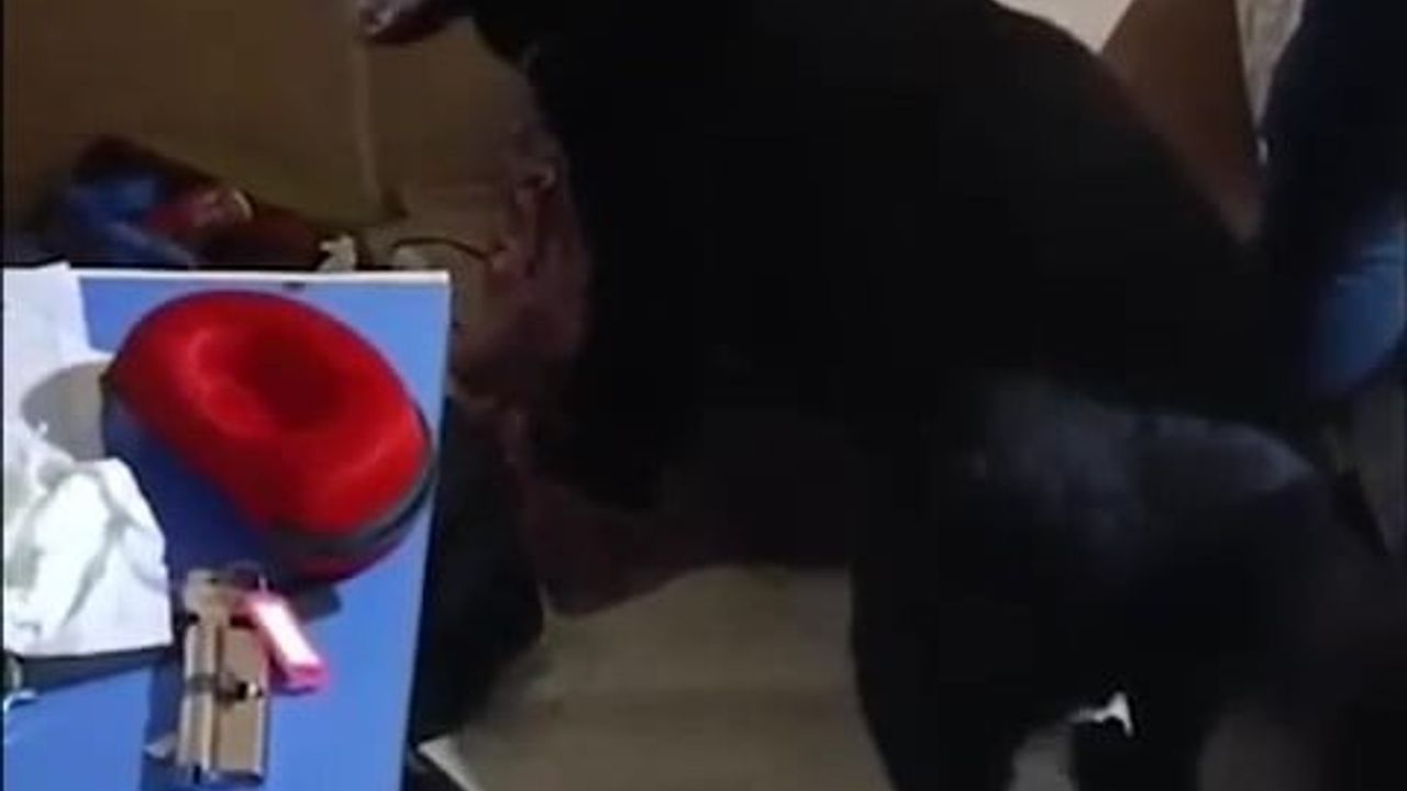 Denizli'de lif ve pamuklara emdirilmiş 2 kilo 395 gram metamfetamin ele geçirildi, iki şüpheli tutuklandı