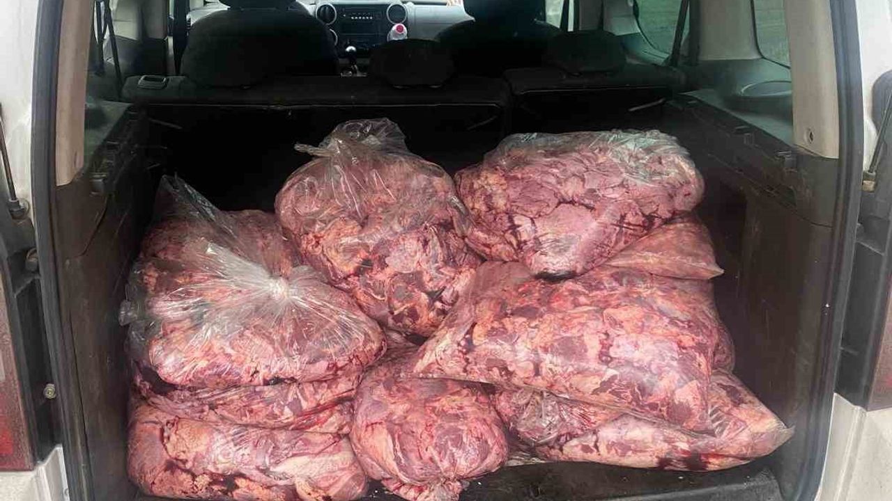 Devrek'te Jandarma, Durdurduğu Araçta 450 Kilogram Bozulmuş Et Buldu