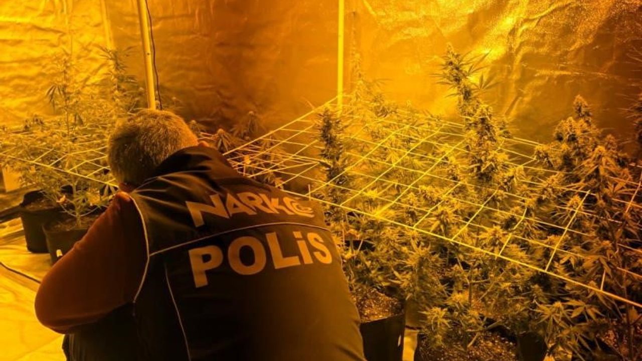 Didim'de uyuşturucu operasyonu: Evde kenevir yetiştirme kabini ve malzemeler ele geçirildi