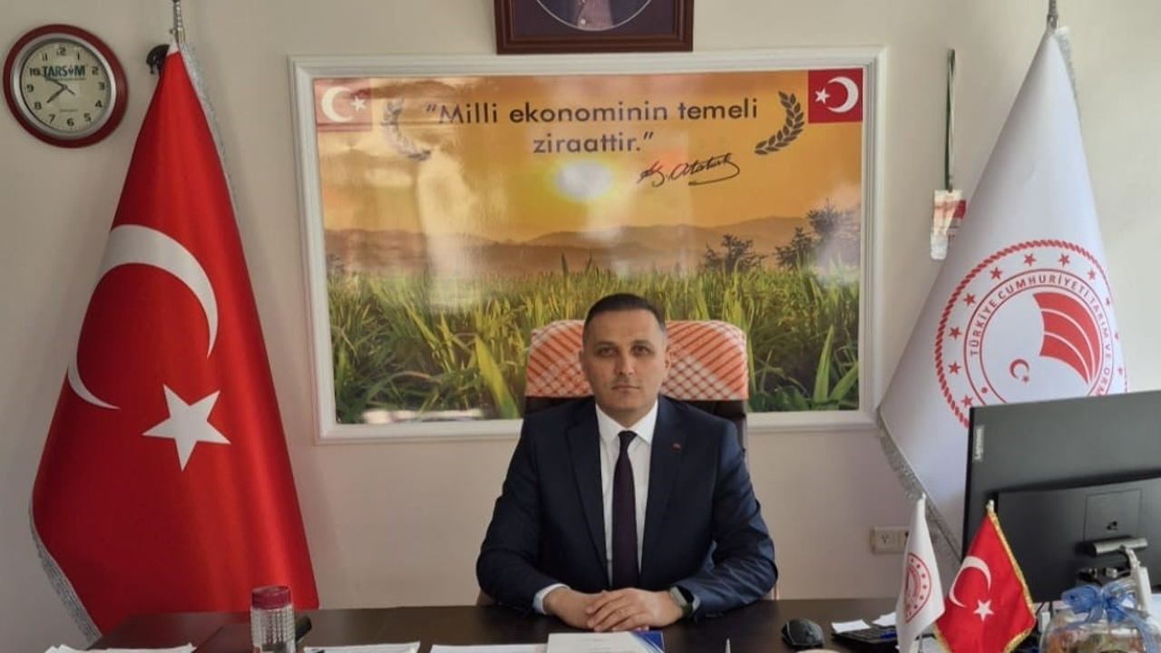 Dinar'da çiftçilere yüzde 50 hibeli çerezlik ayçiçeği tohumu temini