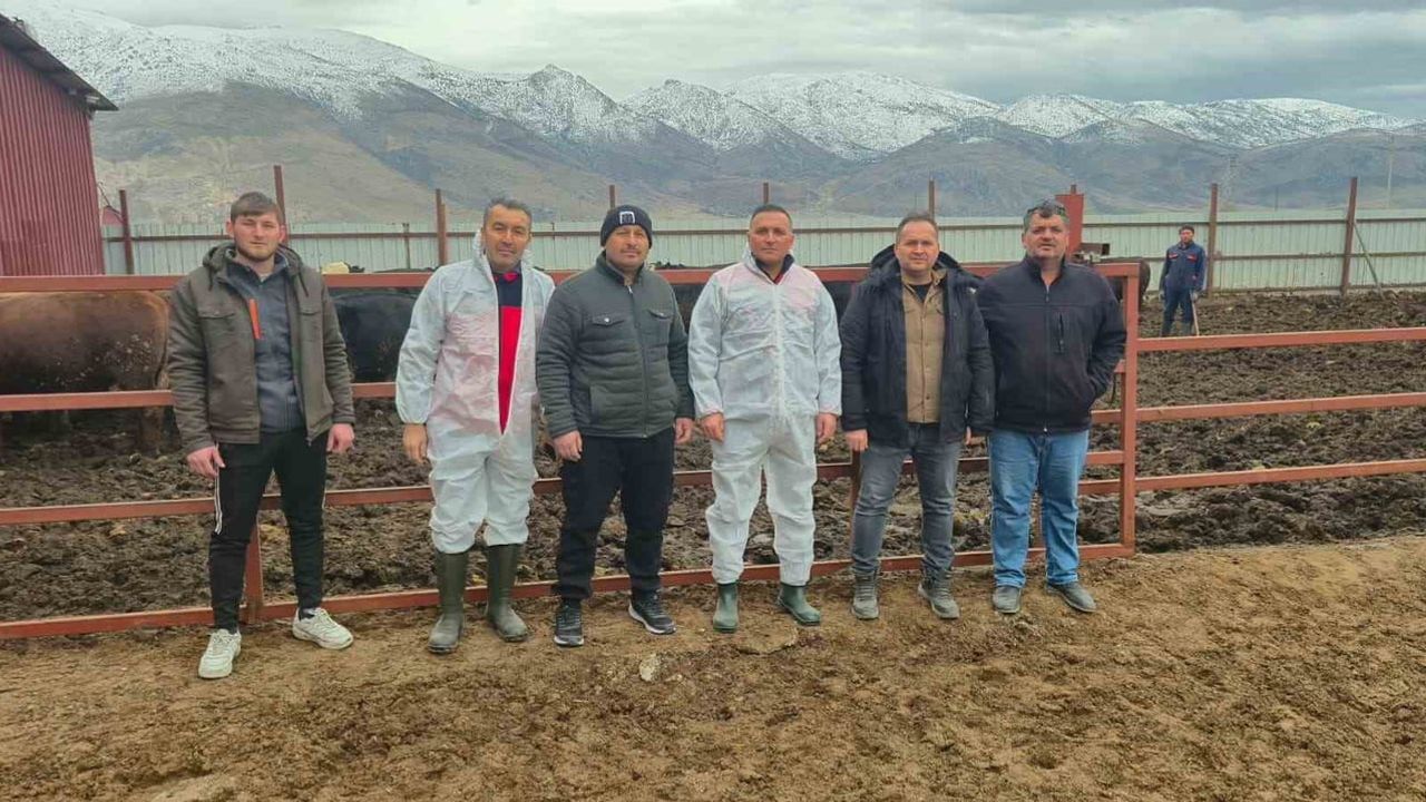 Dinar’da İthal Hayvan Besiciliği İşletmelerine Yönelik Denetim: 16 Yerleşimde Kontrol Yapıldı