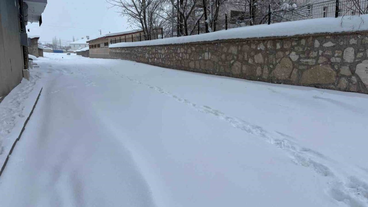 Diyadin'de Süregelen Kar Yağışı Ulaşımı Zorluyor; Ekipler ve Esnaf Seferber