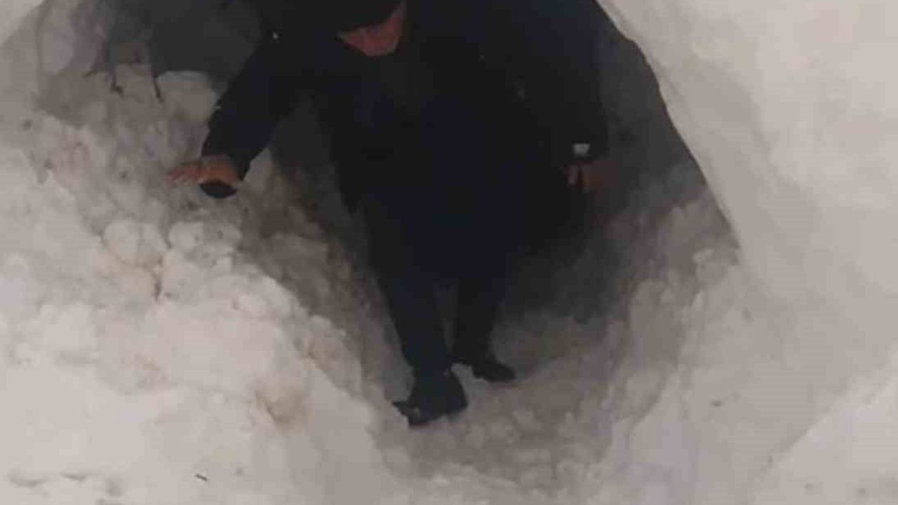Diyarbakır Çınar'da karla kapanan ahıra tünel açarak giren besici