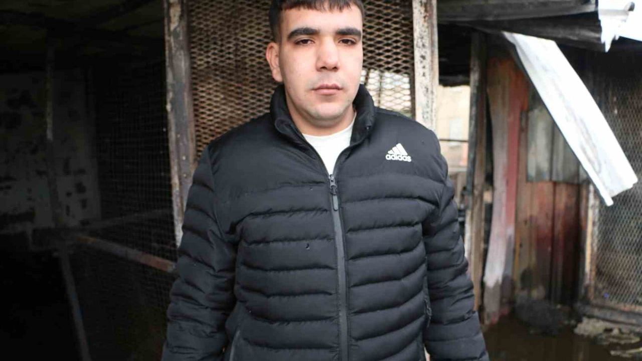 Diyarbakır'da güvercin otelinde yangın: 100'den fazla kuş telef oldu