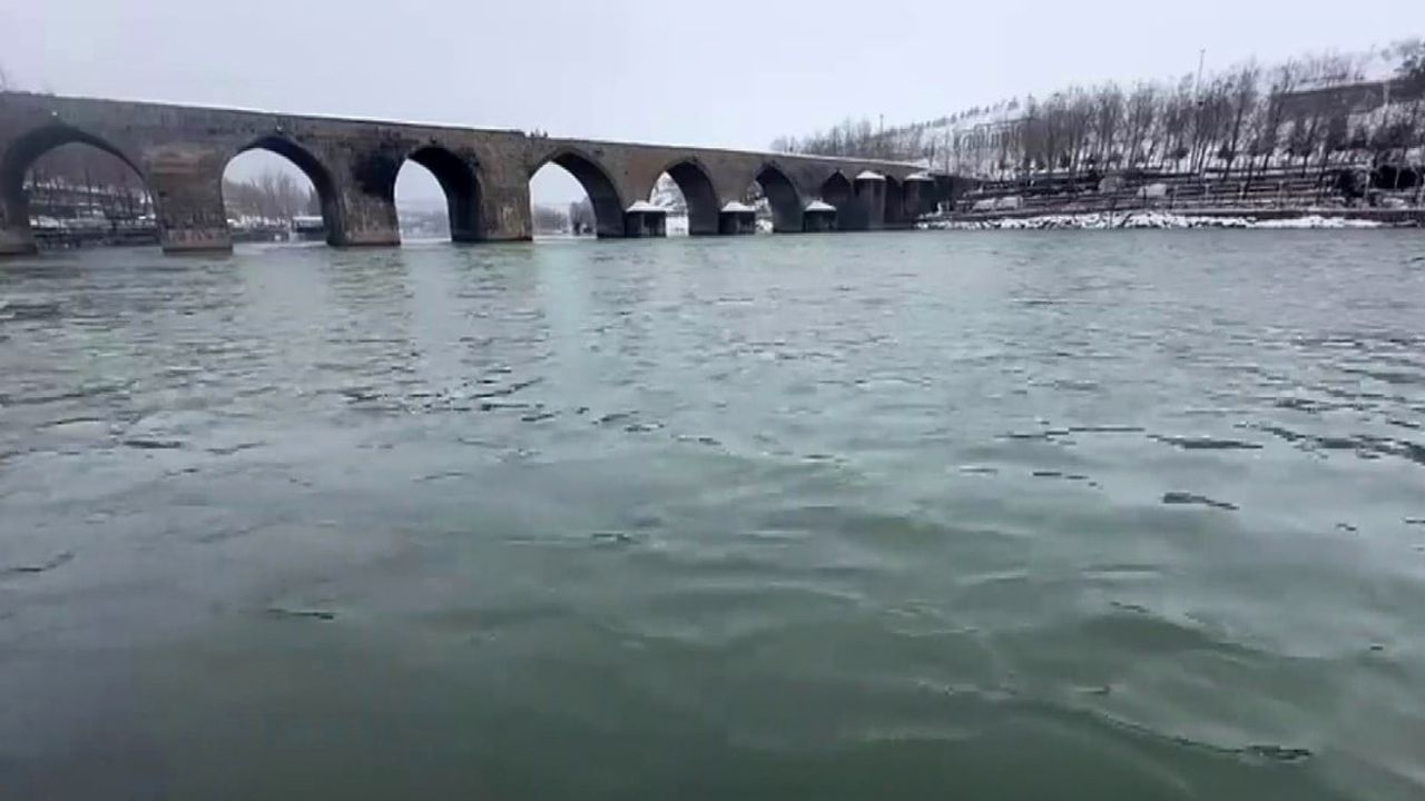 Diyarbakır'da kar yağışı Dicle Nehri'nin su seviyesini yükseltti; On Gözlü Köprü ve Karabaş martıları öne çıktı