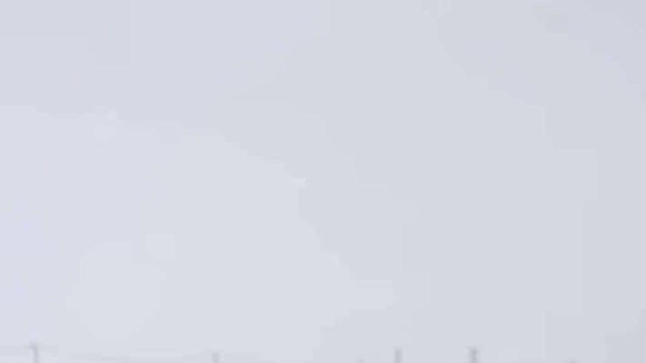 Diyarbakır'da yoğun kar sonrası kurt sürüsü Kocaköy Katin Mahallesi'ne indi