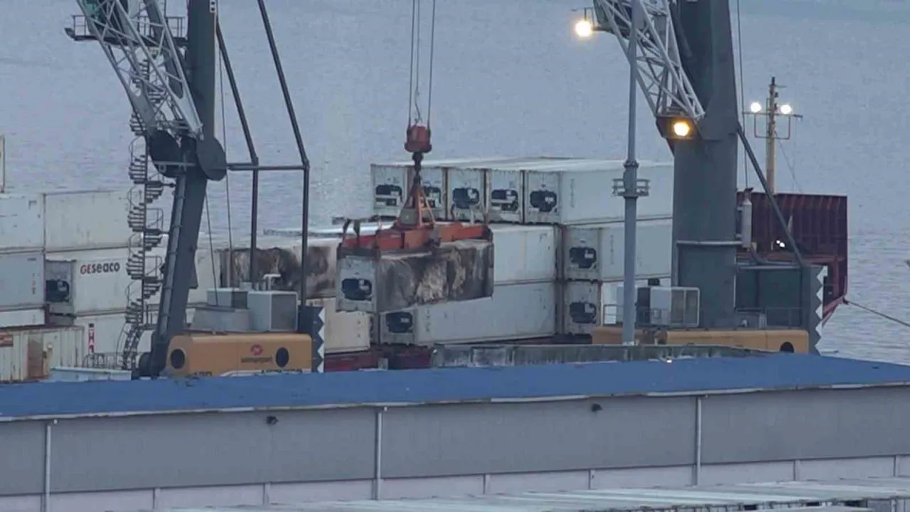 Dron saldırısına uğrayan konteyner gemisi 'Aurelia' Samsun Limanı'na demirledi