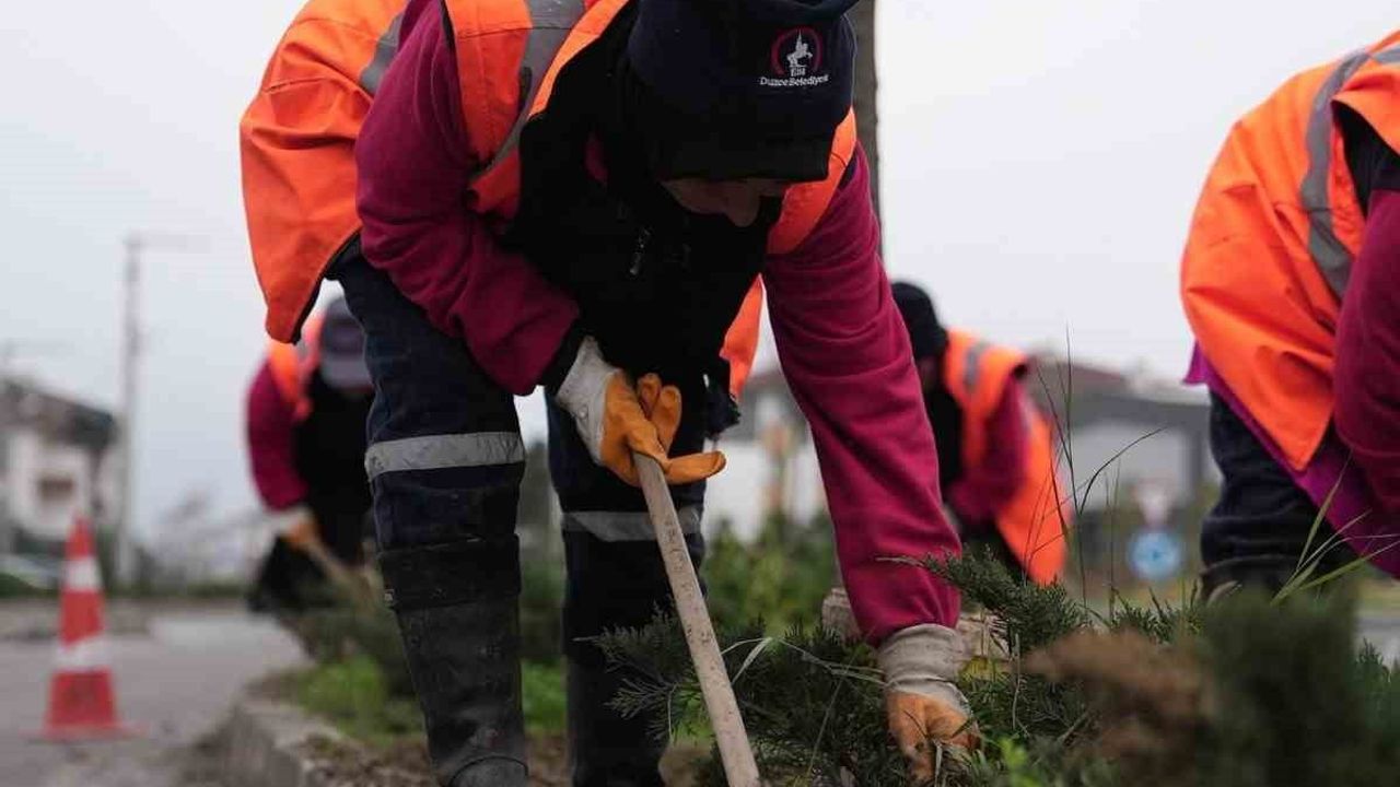 Düzce Belediyesi park ve yeşil alanlarda peyzaj çalışmalarını sürdürüyor