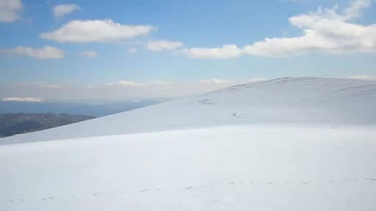 Düzce Kardüz Yaylası'nda 224 cm ile Türkiye'nin en yüksek kar kalınlığı ölçüldü