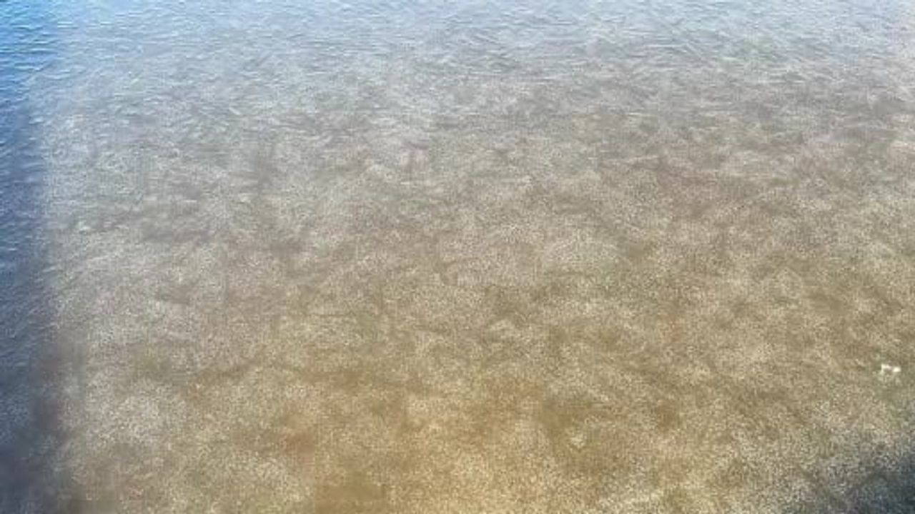 Eber Gölü'nün Afyonkarahisar sınırındaki bölümünde kısmi donma; drone görüntüleri kayda geçti