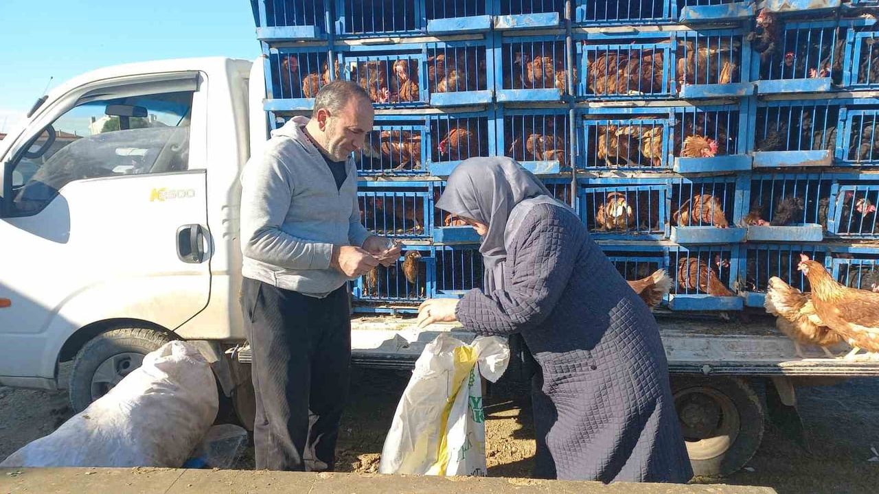Edirne'de 30 yıldır köy köy canlı yumurta tavuğu satan Ferit Demiröven