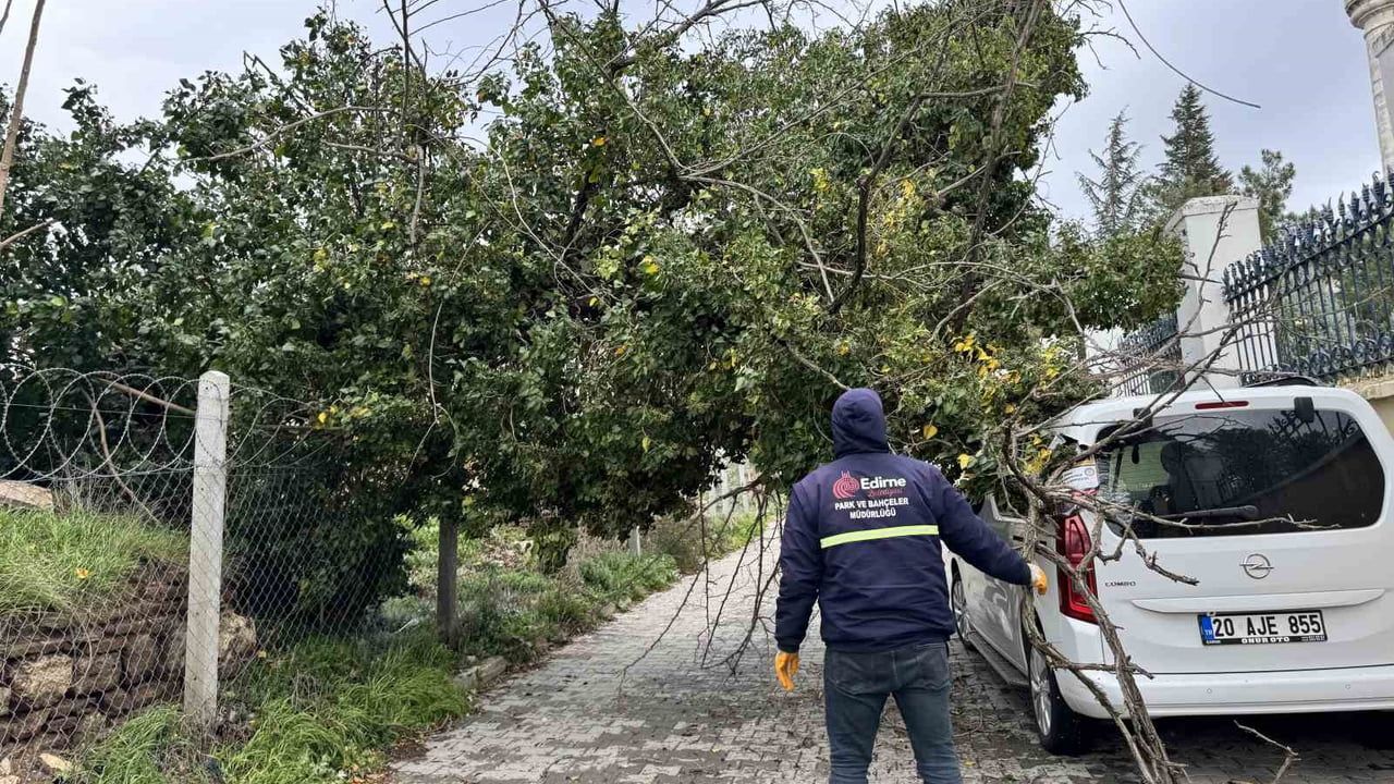 Edirne'de fırtına ağaçları devirdi: Park halindeki araca ağaç düştü, ekipler müdahale etti