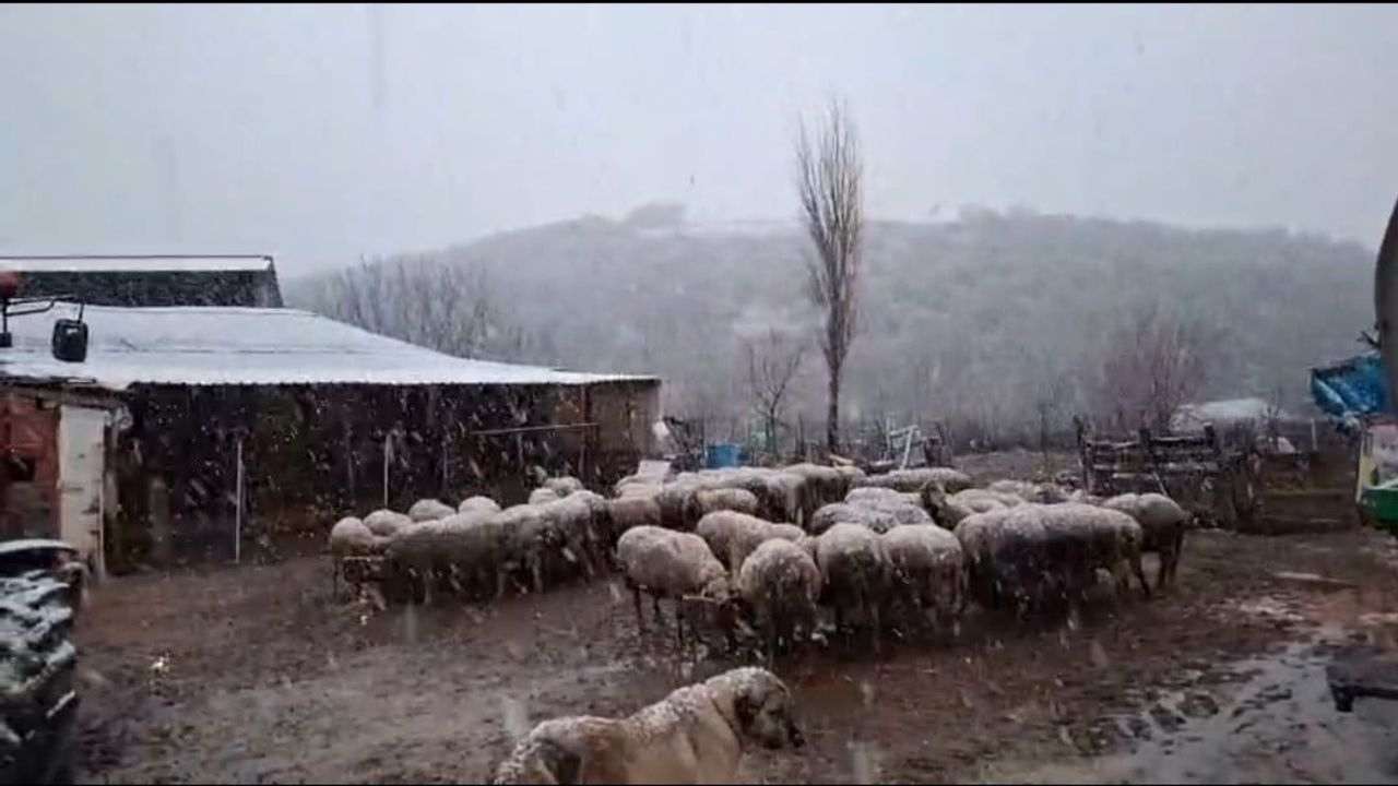 Edirne Hamzabeyli Köyünde 2026'nın İlk Karı Etkisini Gösterdi