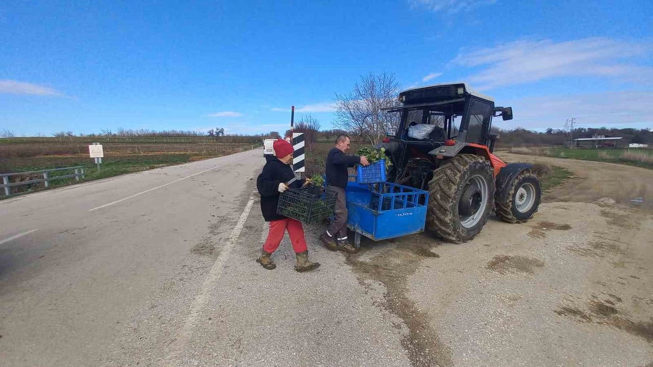 Edirne Uzunköprü'de dört mevsim tarlada çalışan aile: Toprağa emek, çocuklara gelecek