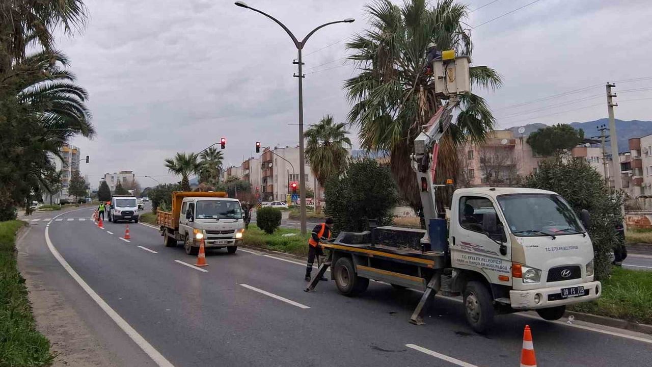 Efeler Belediyesi, Umurlu Karayolu'nda Ortarefüj Budama Çalışmasıyla Güvenliği Artırdı