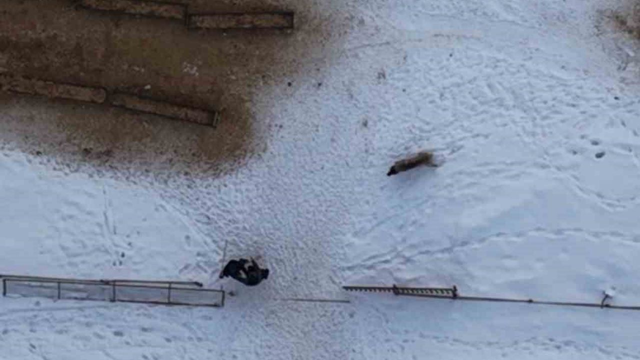 Elazığ Ağın'da doğa çekimi sırasında köpek saldırısı dronla kaydedildi