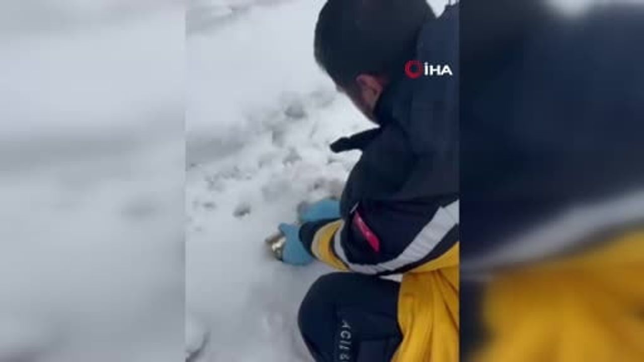 Elazığ'da başına konserve sıkışan kedi, 112 ekipleri tarafından kurtarıldı