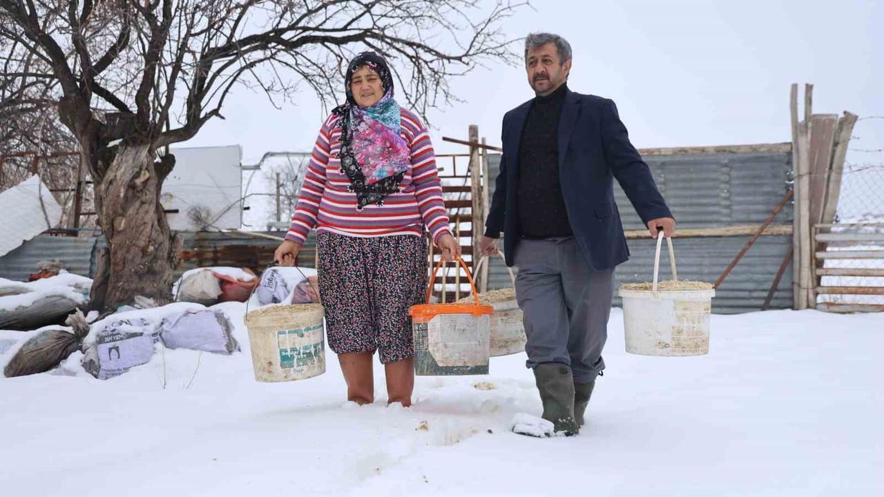 Elazığ’da besiciler kar ve dondurucu soğukta sabah mesaisi