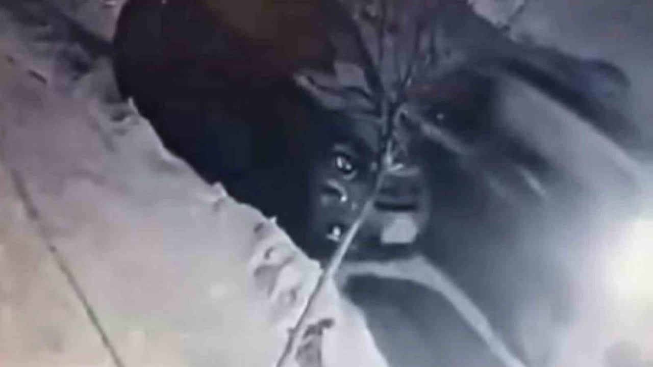 Elazığ'da buzlanan yolda hafif ticari araç park halindeki otomobile çarptı