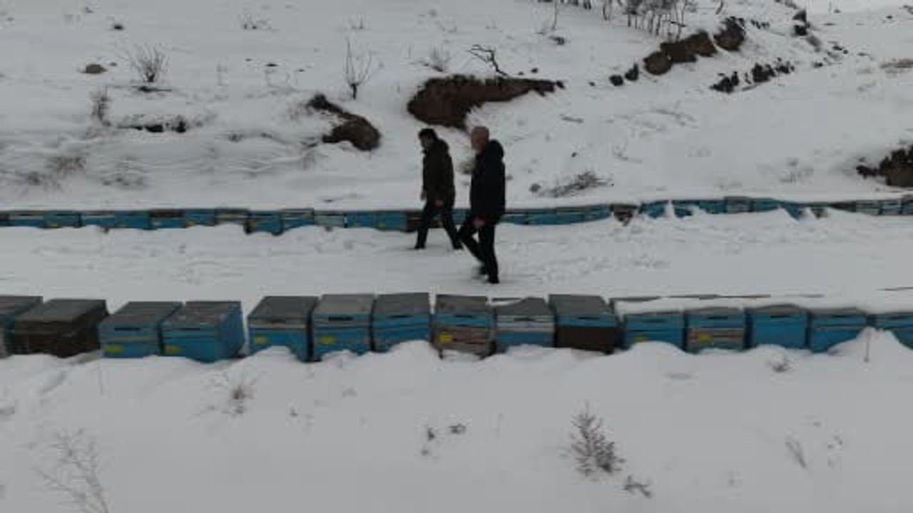 Elazığ'da Kar Yağışı Arıcıları Rahatlattı: Koloni Kayıpları ve Hastalıklar Azaldı