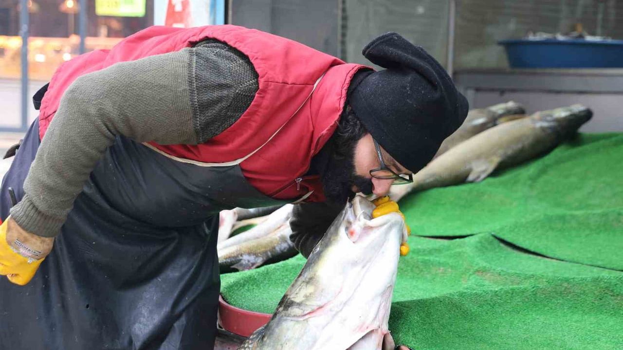 Elazığ'da Murat Nehri'nde 78 kilogramlık turna balığı yakalandı