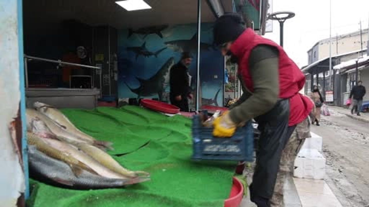 Elazığ'da Murat Nehri'nde yakalanan 78 kilogramlık turna balığı kilosu 500 liradan satışta