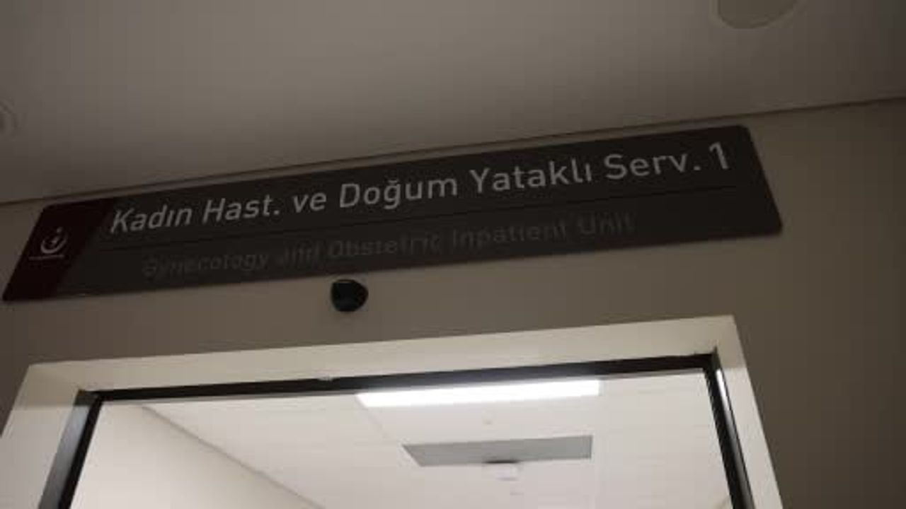 Elazığ'da yeni yılın ilk dakikalarında 4 bebek dünyaya geldi