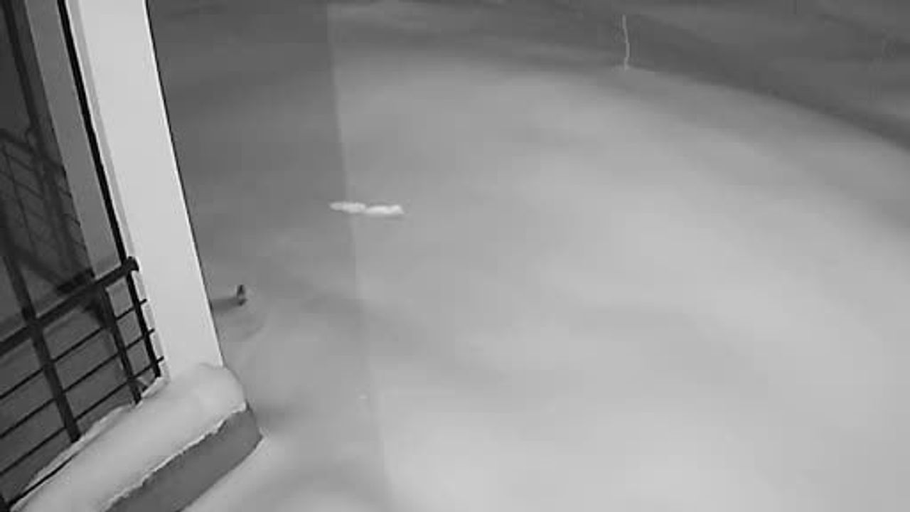 Elazığ Maden'de kar yaban hayatını köylere indirdi: Tilki, tavşan ve sansarlar güvenlik kamerasında