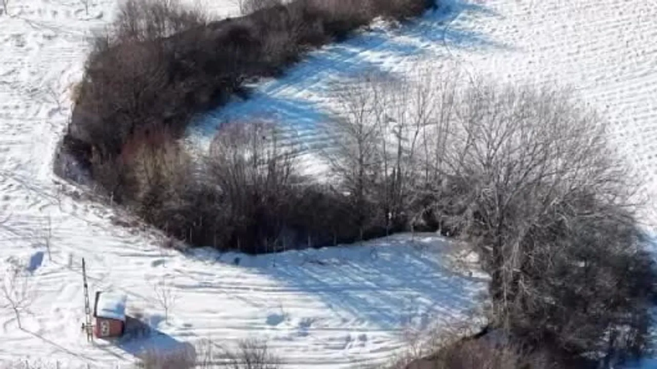 Elazığ Selli Köyü'nde kar üzerinde domuz sürüsü drone ile görüntülendi