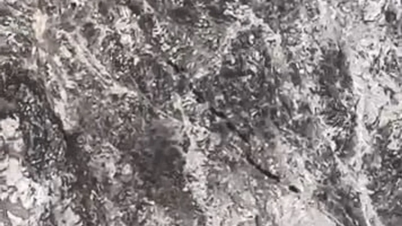 Elazığ Sivrice Taşlıyayla'da yiyecek arayan domuz sürüsü cep telefonu kamerasına yansıdı