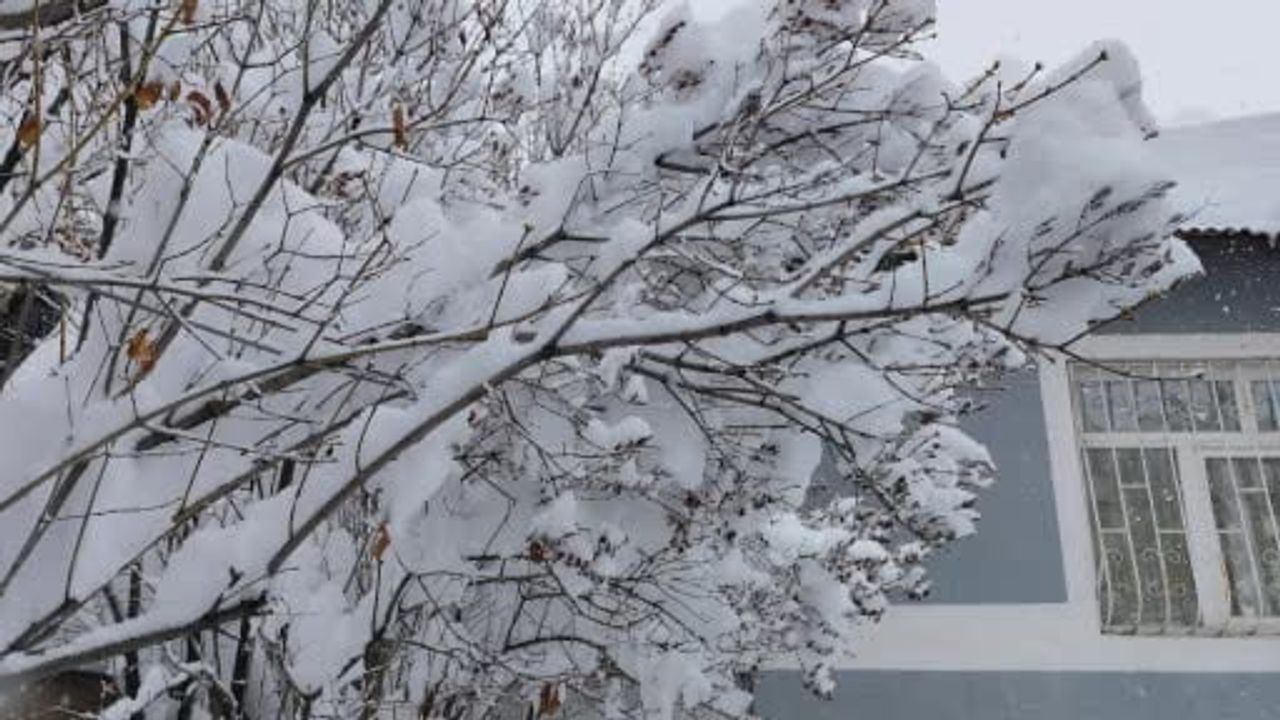 Erciş'te üç gündür süren yoğun kar yağışı hayatı felç etti