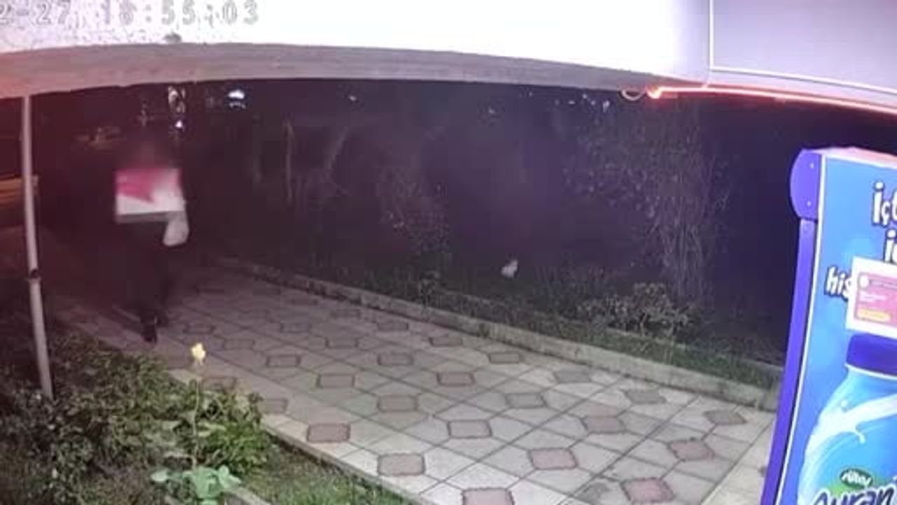 Erdek Kapıdağ'da 8 gündür kayıp Elif Kumal'ın evden çıkış anı kamerada