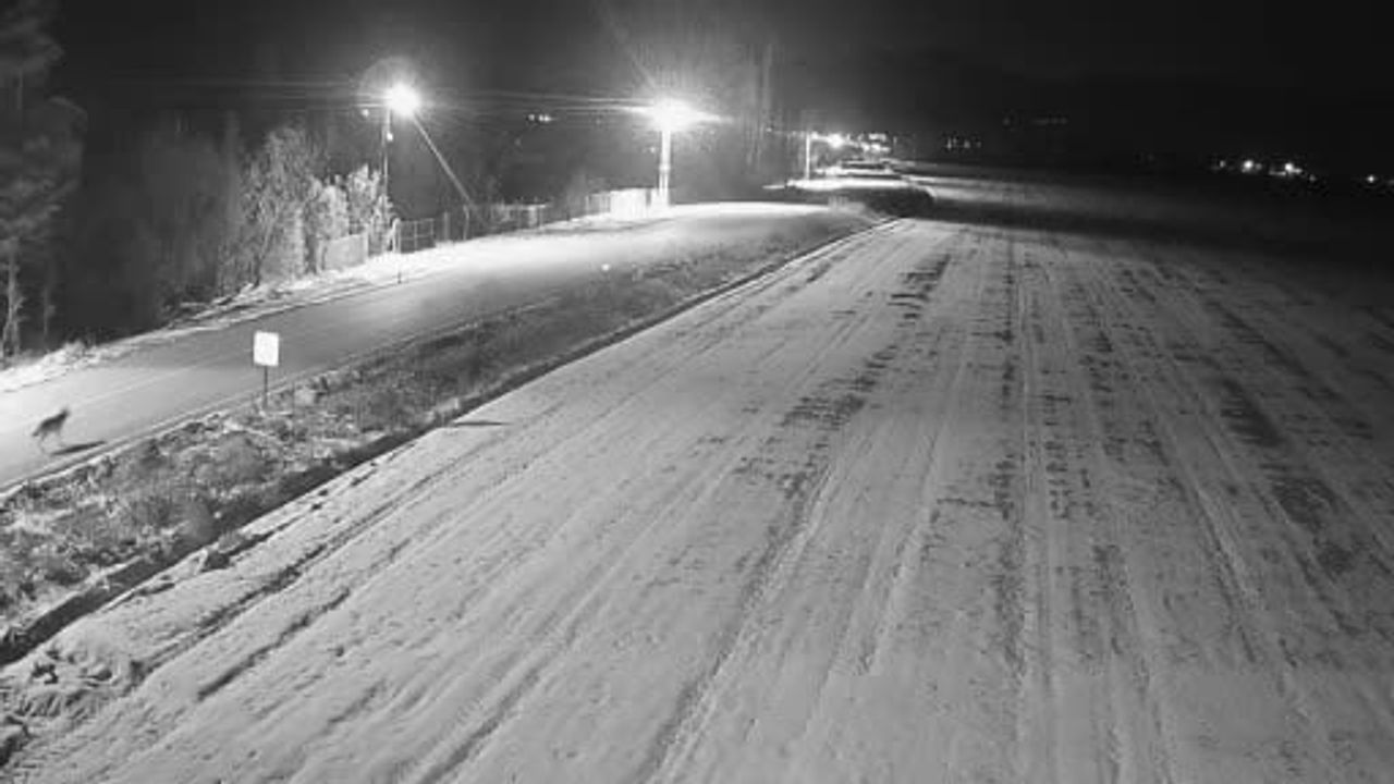 Ereğli'de şehir merkezine yaklaşık 5 km yaklaşan kurt sürüsü güvenlik kamerasına yansıdı