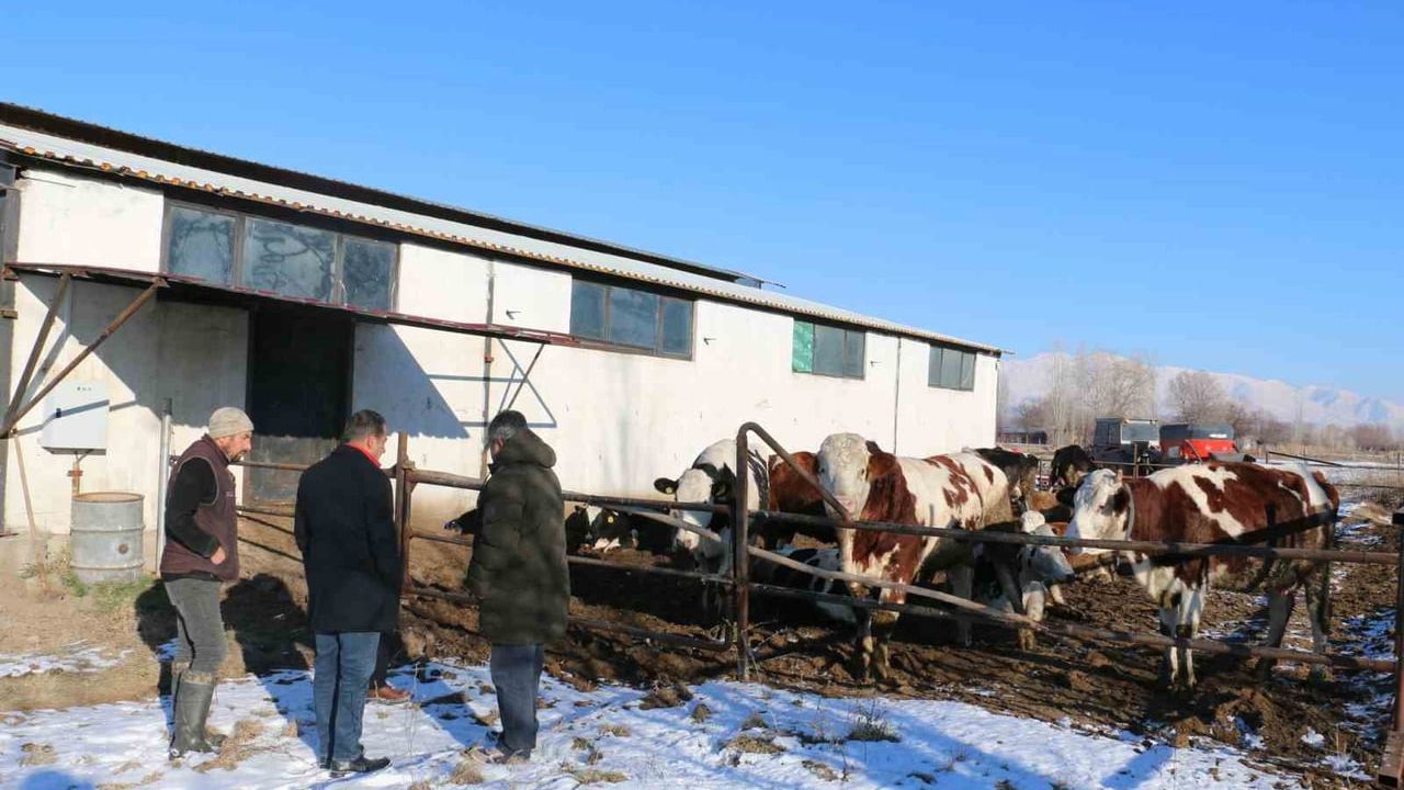 Erzincan'da aile hayvancılık işletmeleri ziyaret edildi: Süt üretimi ve sürdürülebilirliğe vurgu