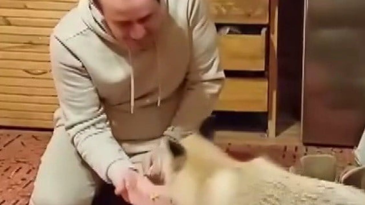 Erzincan Tercan'da sıra dışı dostluk: Menderes Karagül tilkiyi elinden besliyor