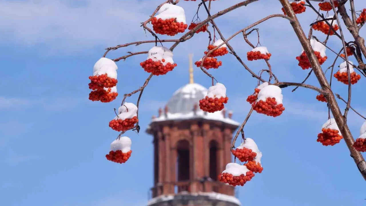 Erzurum ve çevresi için buzlanma, don ve çığ uyarısı