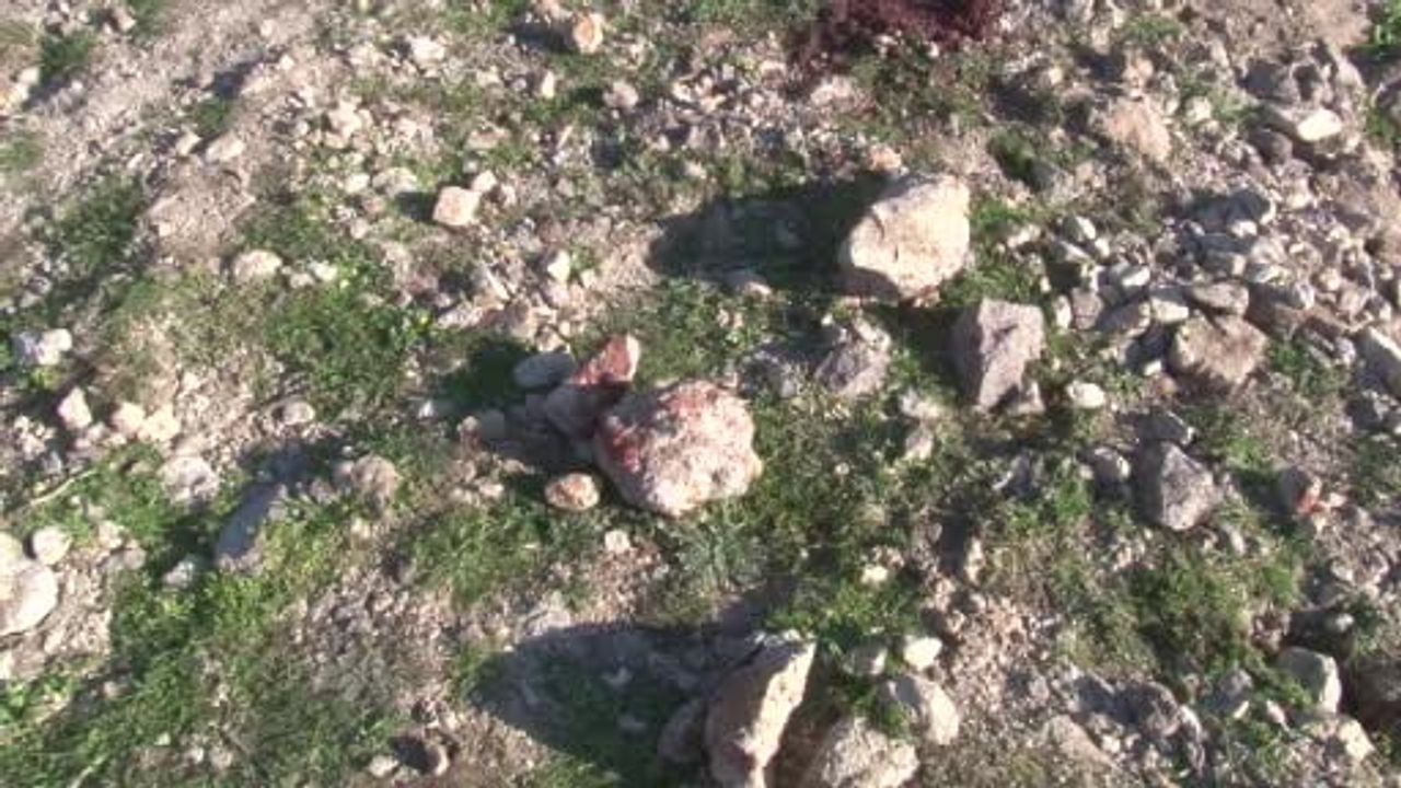 Eski İHD İzmir Şube Başkanı Ali Aydın'ın öldürülmesine ilişkin zanlı tutuklandı