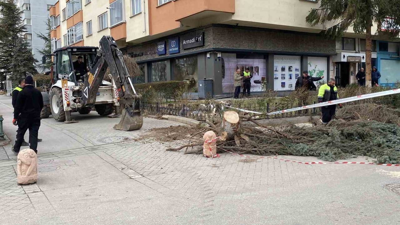 Eskişehir'de fırtına ağaç devrilmelerine yol açtı; Vişnelik Mahallesi'nde tramvay seferleri aksadı