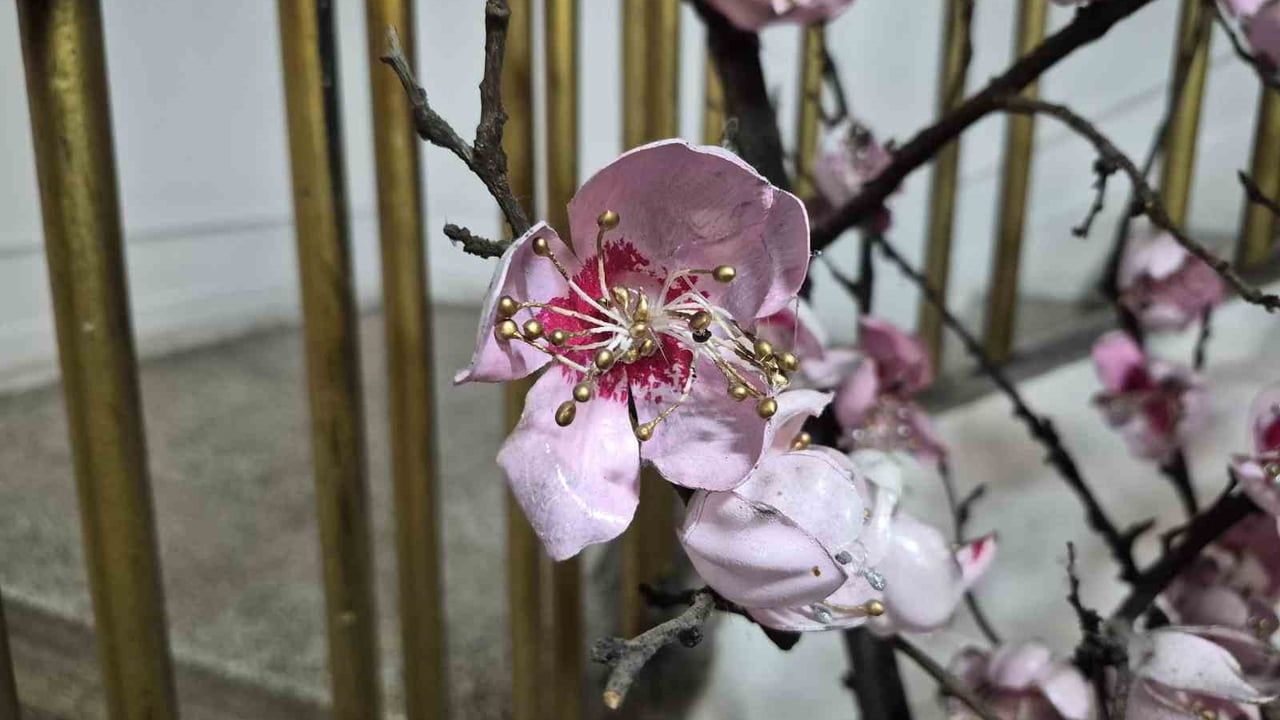 Eskişehir Olgunlaşma Enstitüsü'nde atık şişelerden yapılan gül ağacı geri dönüşüm farkındalığı yaratıyor