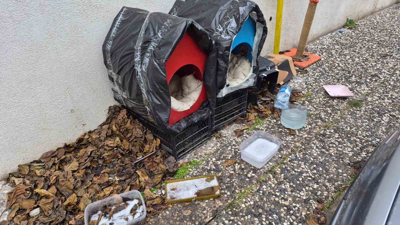 Eskişehir Şirintepe Mahallesi'nde Vatandaşlardan Sokak Kedilerine Battaniyeli ve Sıcak Su Torbalı Yuvalar